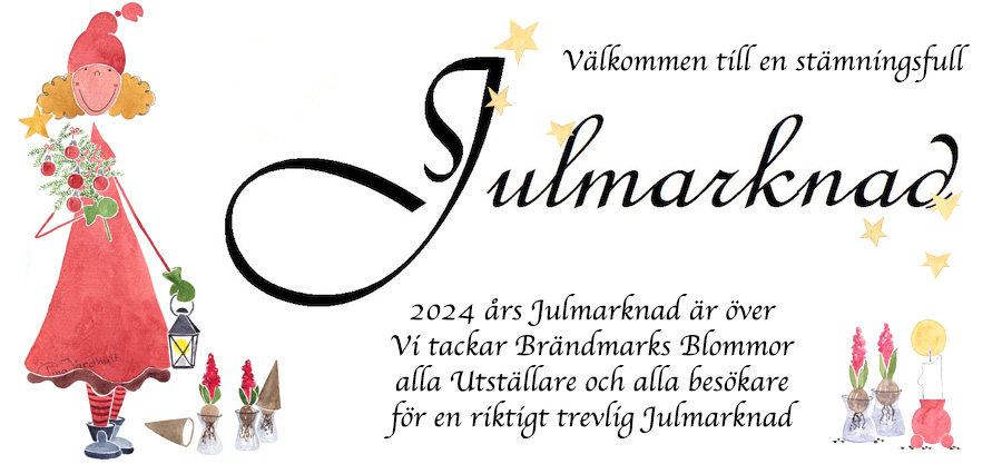julmarknad